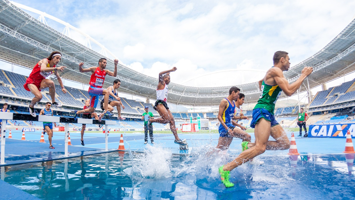 취업이 쉬운 직업 vs 경쟁률이 높은 직업 비교