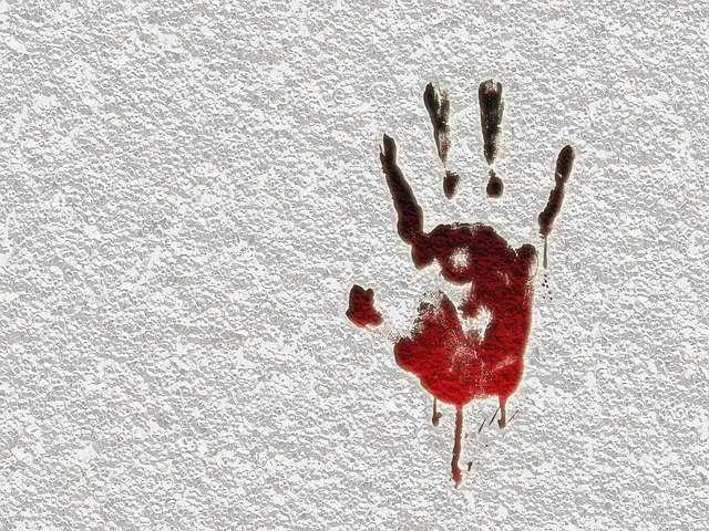 피 꿈해몽 (11)