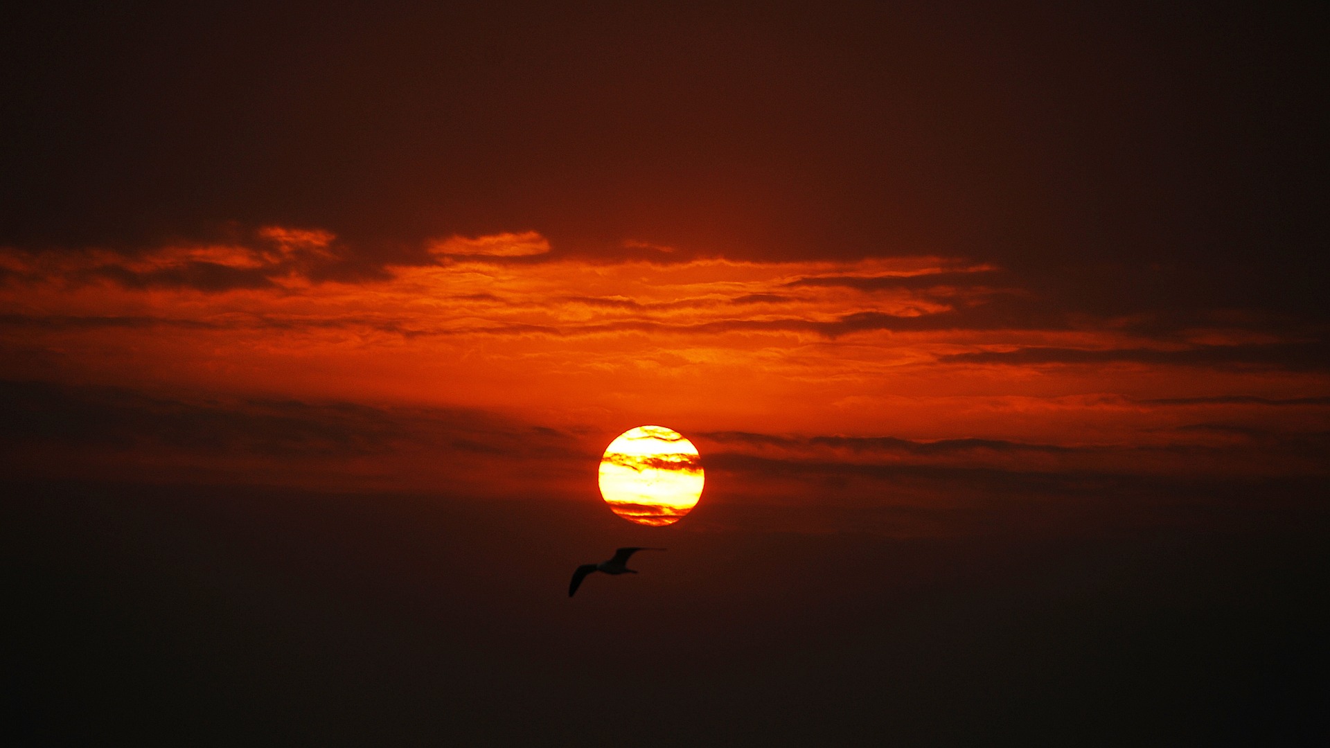 강릉시 해돋이 명소