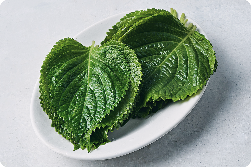 깻잎-효능-부작용