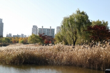 가을 감성 폭발! 인천&middot;부천 단풍 포토존 &amp; 인생샷 명소 추천