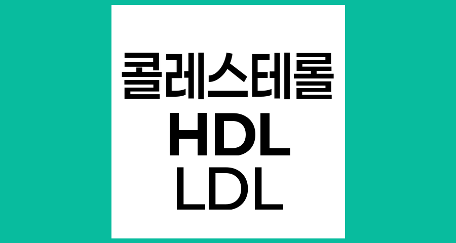 HDL과 LDL 콜레스테롤의 이해와 건강 관리