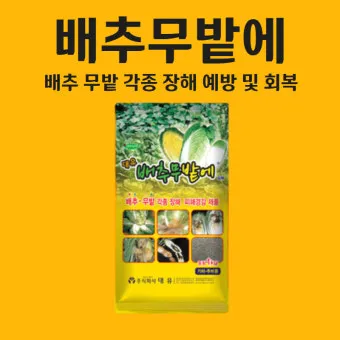 김장무 웃거름 주기 비료주는 시기와 방법을 안내_18