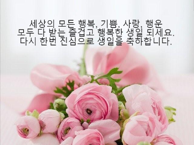 생일축하 메세지 문자 카톡 모음12