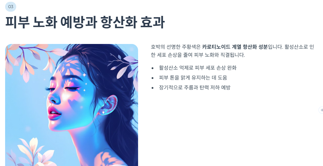피부 노화 예방과 항산화 효과