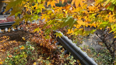 단풍명소_화담숲_전통담장길