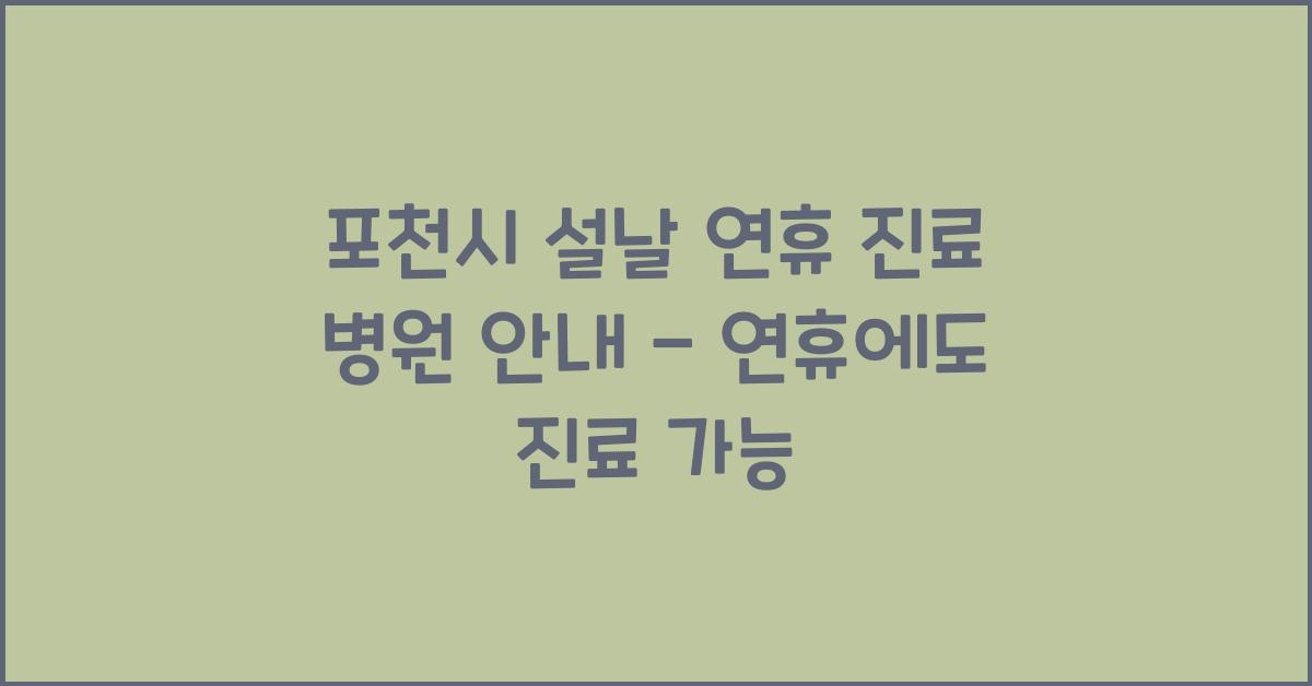 포천시 설날 연휴 진료 병원 안내 - 연휴에도 진료 가능