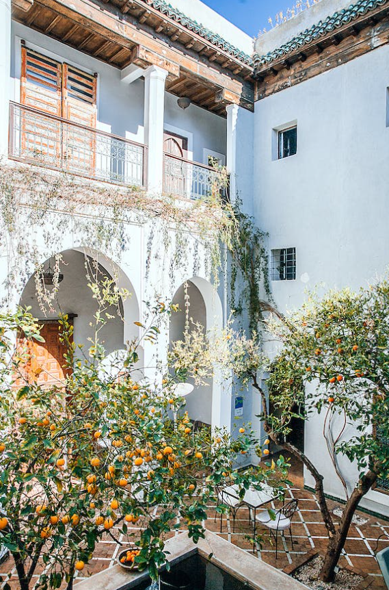 마당 조경 인테리어