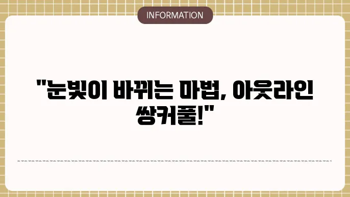 비용 안내