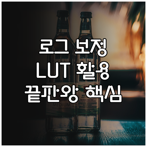 로그 영상 보정을 위한 LUT 유형별..