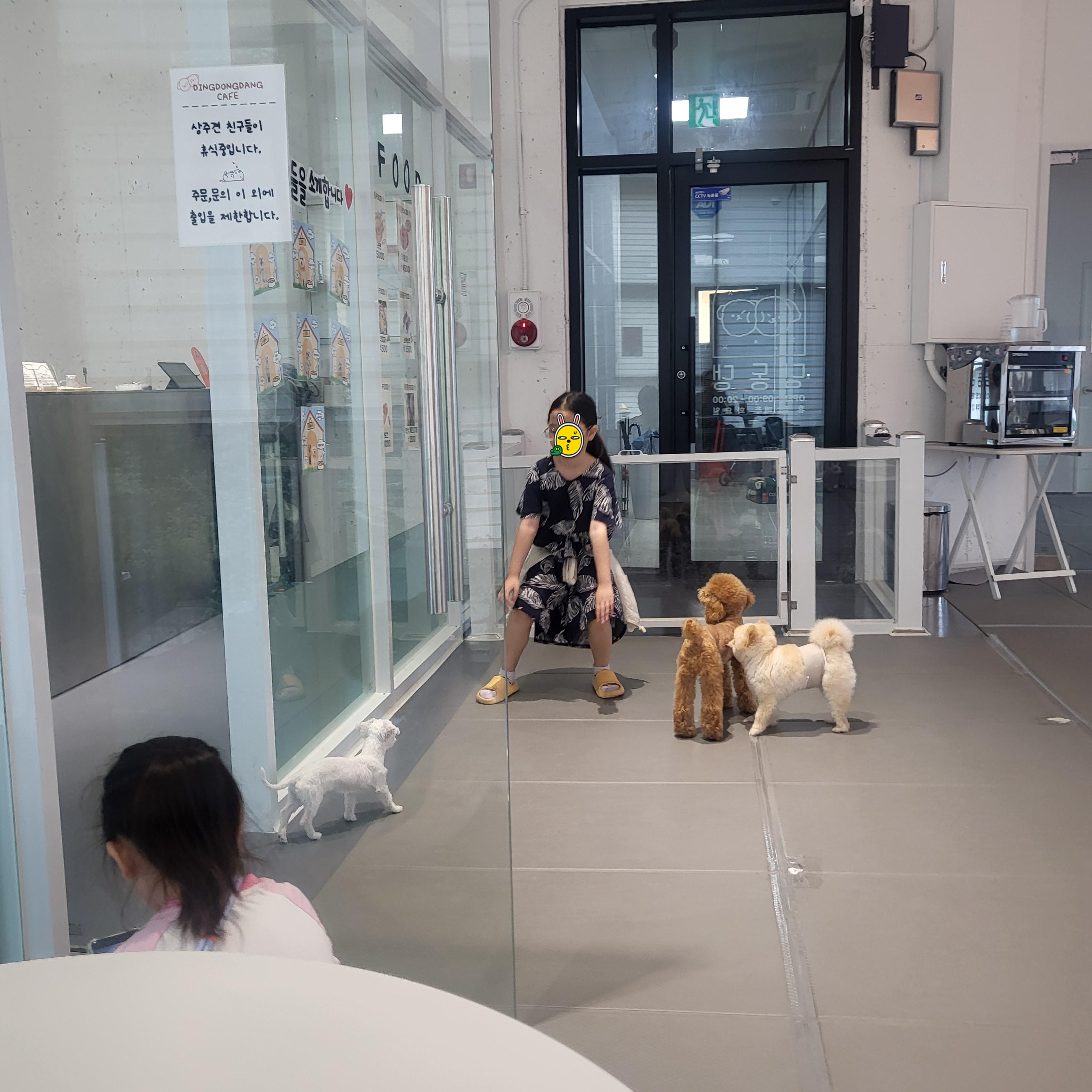 울산 애견 카페(딩동댕 애견카페)