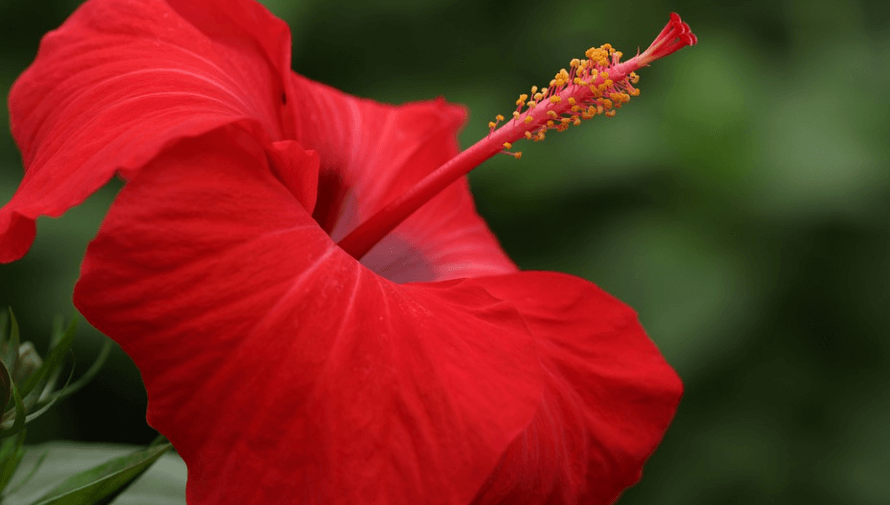 신장이 안 좋으면 나타나는 증상과 신장에 좋은 음식 - 6