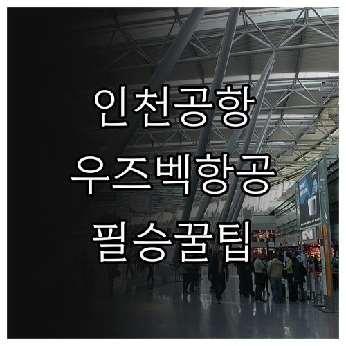 인천공항 우즈베키스탄항공 터미널 및 ..