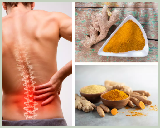 허리 디스크 예방 관리 팁