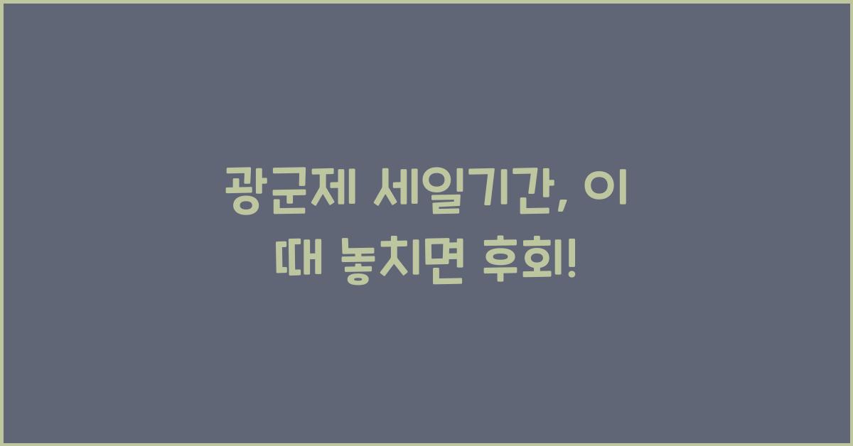 광군제 세일기간