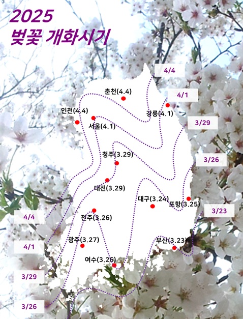 2025 벚꽃 개화시기 (웨더아이 제공)
