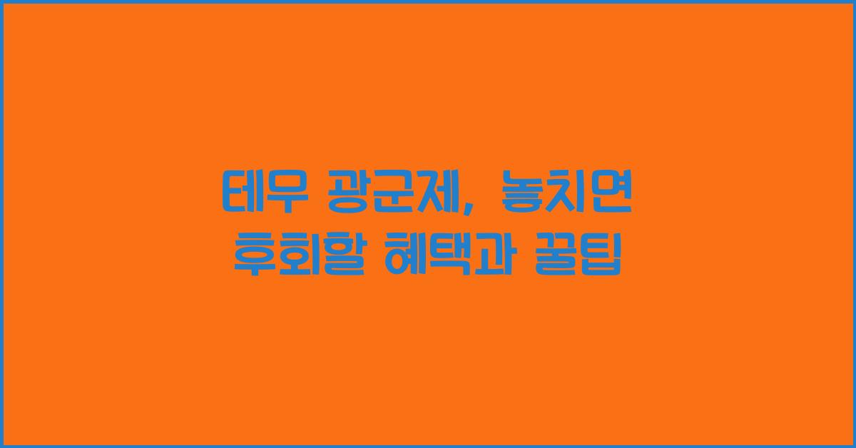 테무 광군제