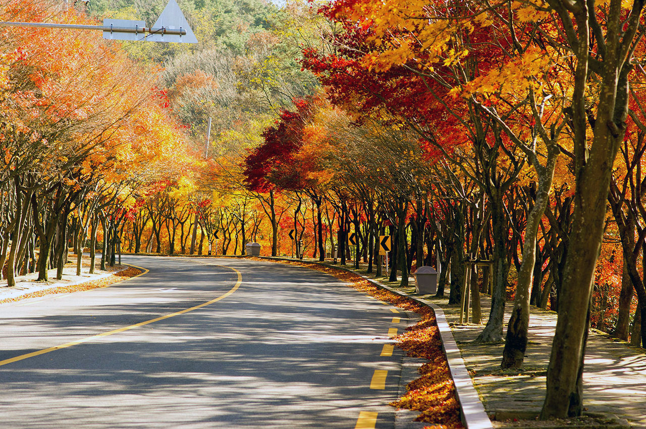 가을 단풍 명소