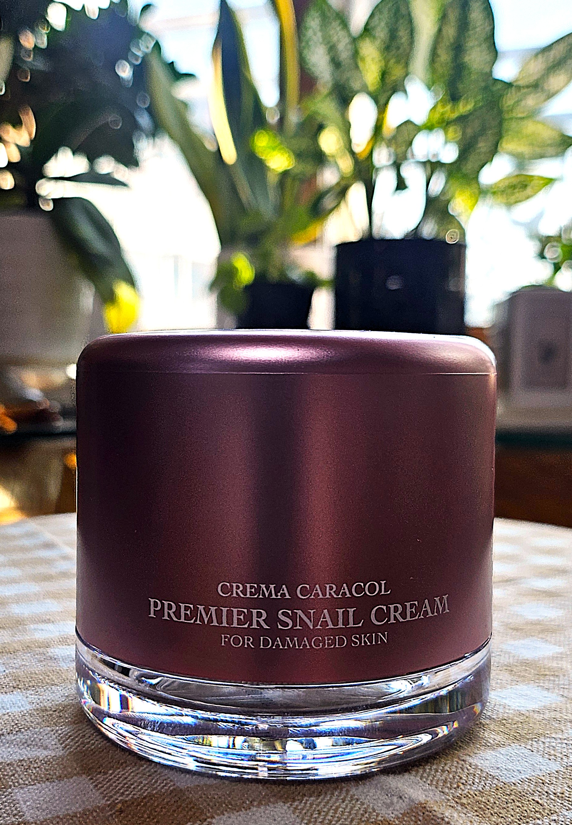 자민경 달팽이 크림으로 피부를 촉촉하게, 탄탄하게