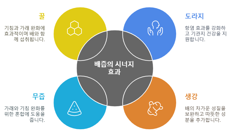 배즙과 함께 섭취하면 좋은 영양소