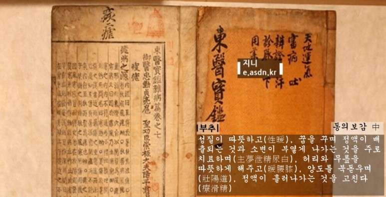 부추 효능 12가지와 부작용 총정리...음식건강이야기 열여섯번째