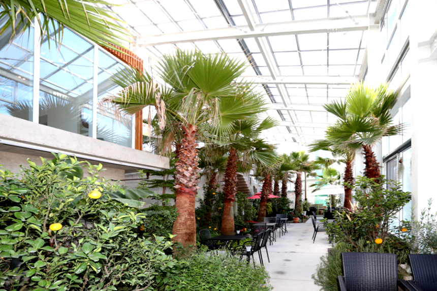 특색있고 아름다운 민간 정원 30선 추천 여행 - 29. 울주 온실리움