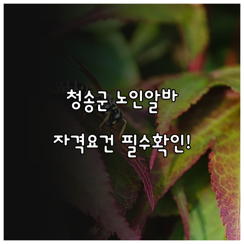 청송군 노인 일자리 유형별 상세 내용..