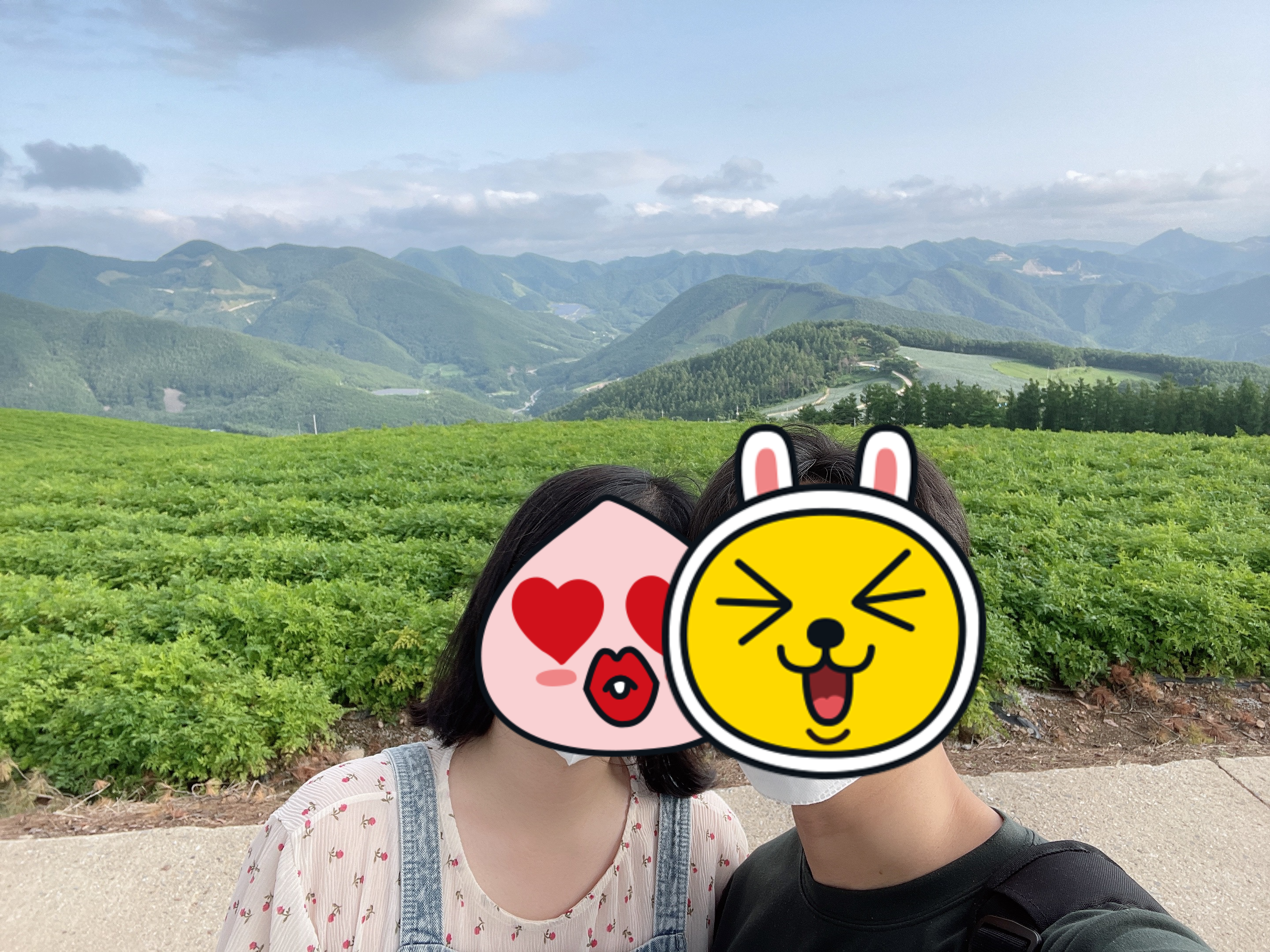 정선 타임캡슐 뒤쪽 배추밭