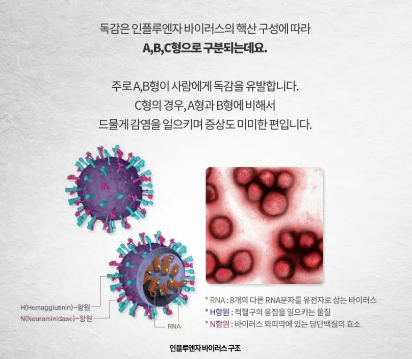 올해 유행하는 독감 증세