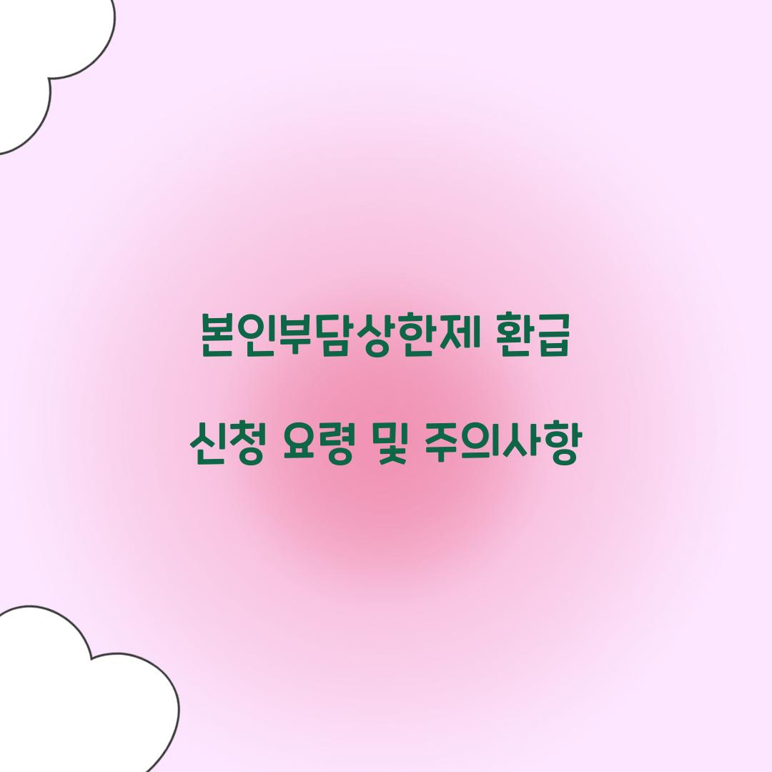 본인부담상한제 환급
