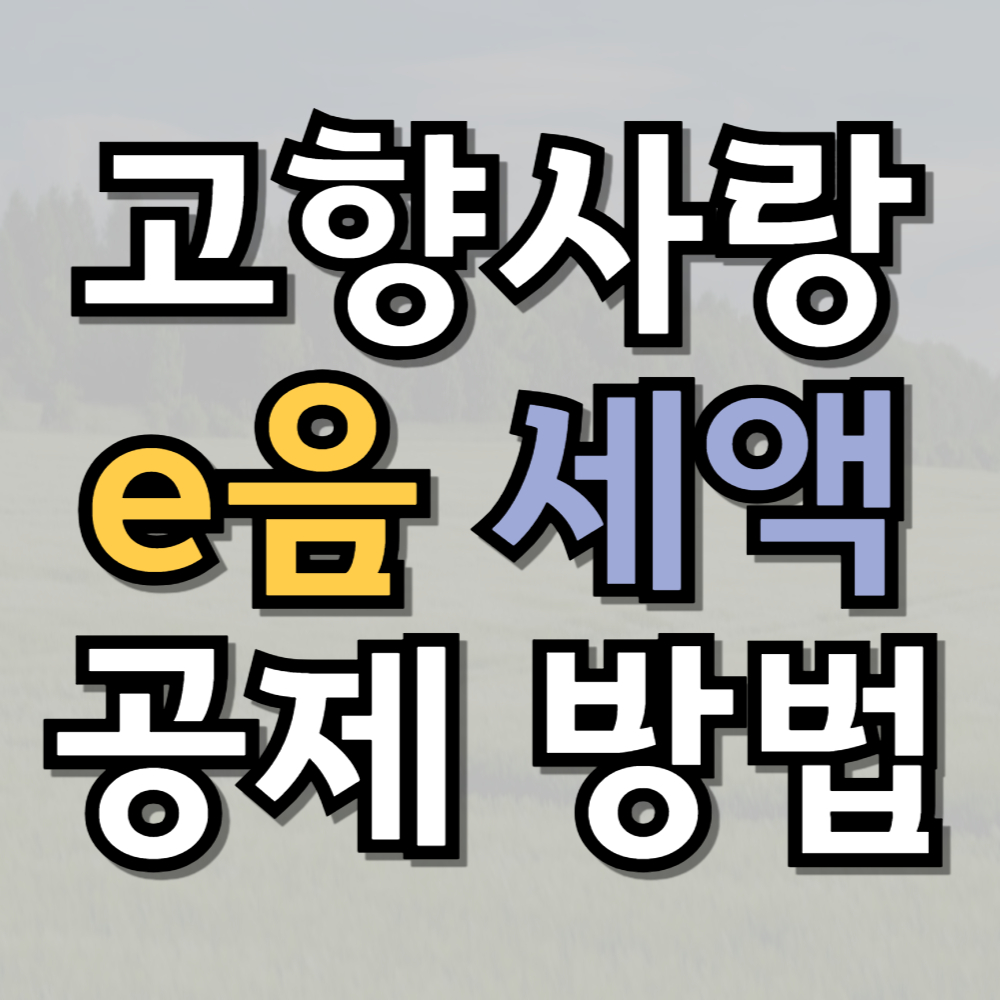 고향사랑e음 세액공제 방법