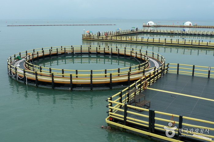 장흥 가볼만한곳 베스트10