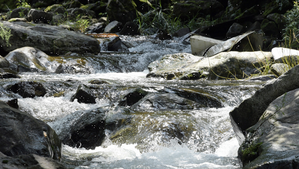 탑동계곡 이미지