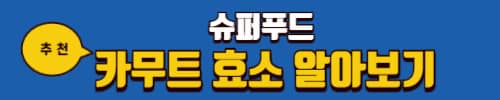 렌틸콩 효능