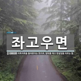 좌고우면 뜻 사용법_7