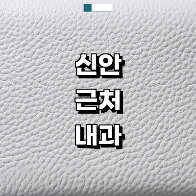 신안군 내과