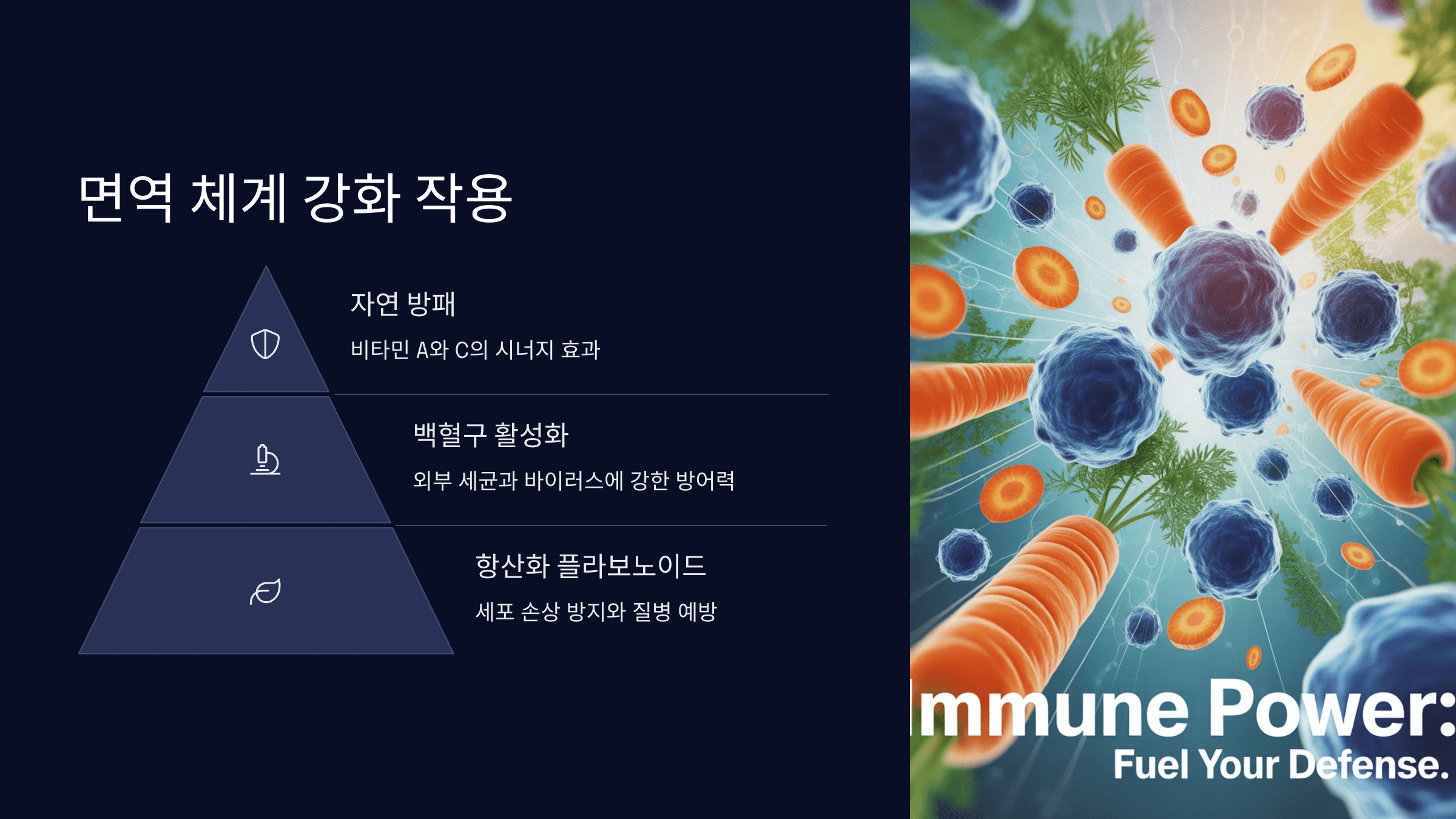 면역력 강화