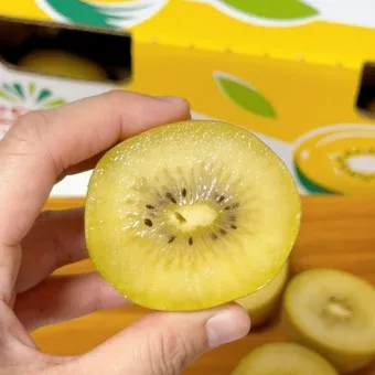 골드키위 효능 부작용_8