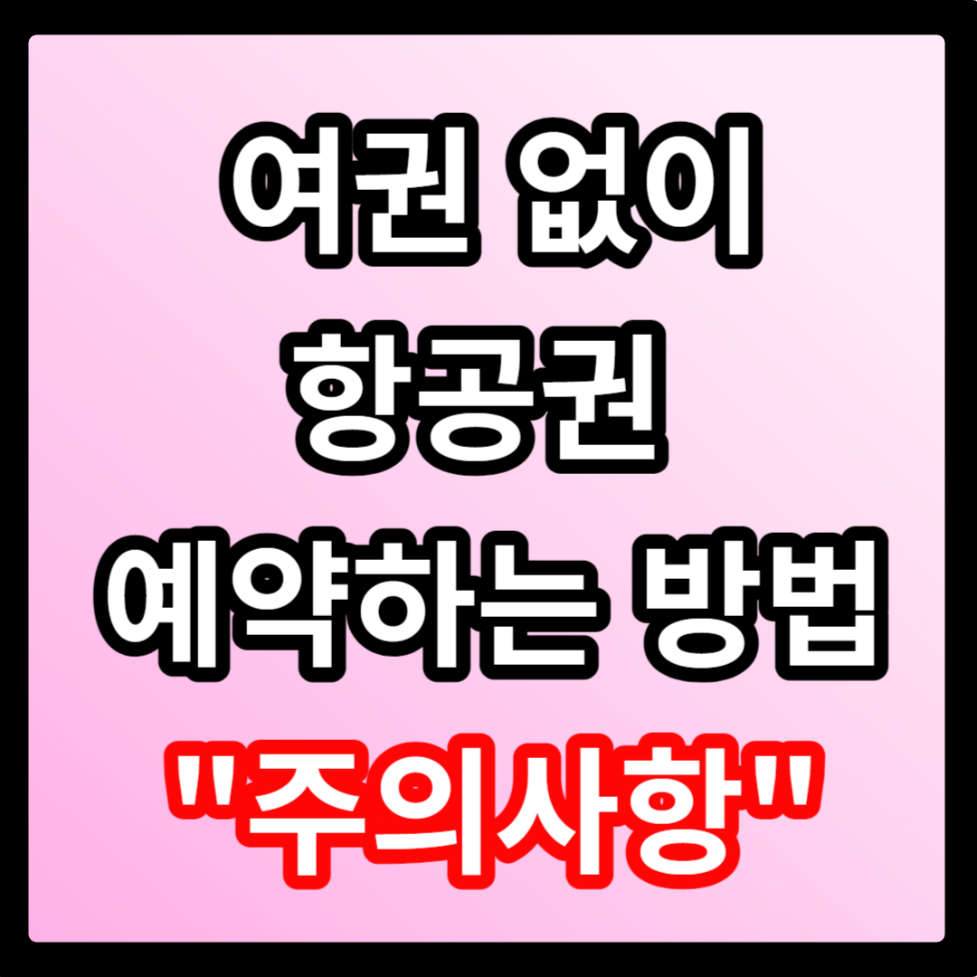 여권없이 항공권 예약하는 방법 단점