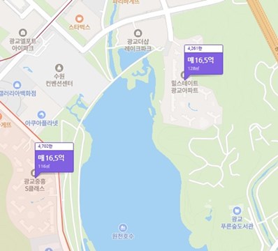 수원의 인기아파트 광교중흥, 힐스테이트광교주상복합아파트 네이버부동산 캡쳐