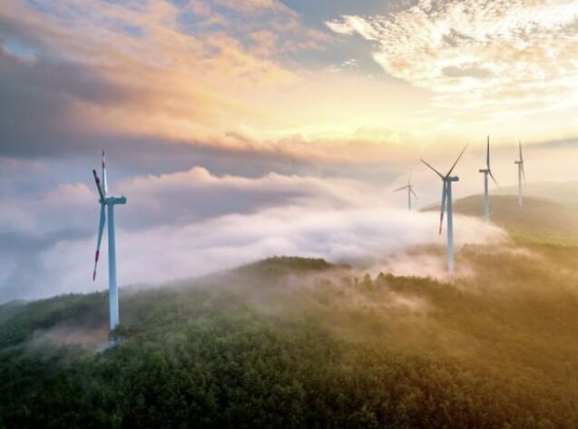 전국 가을 꽃 축제 추천 BEST