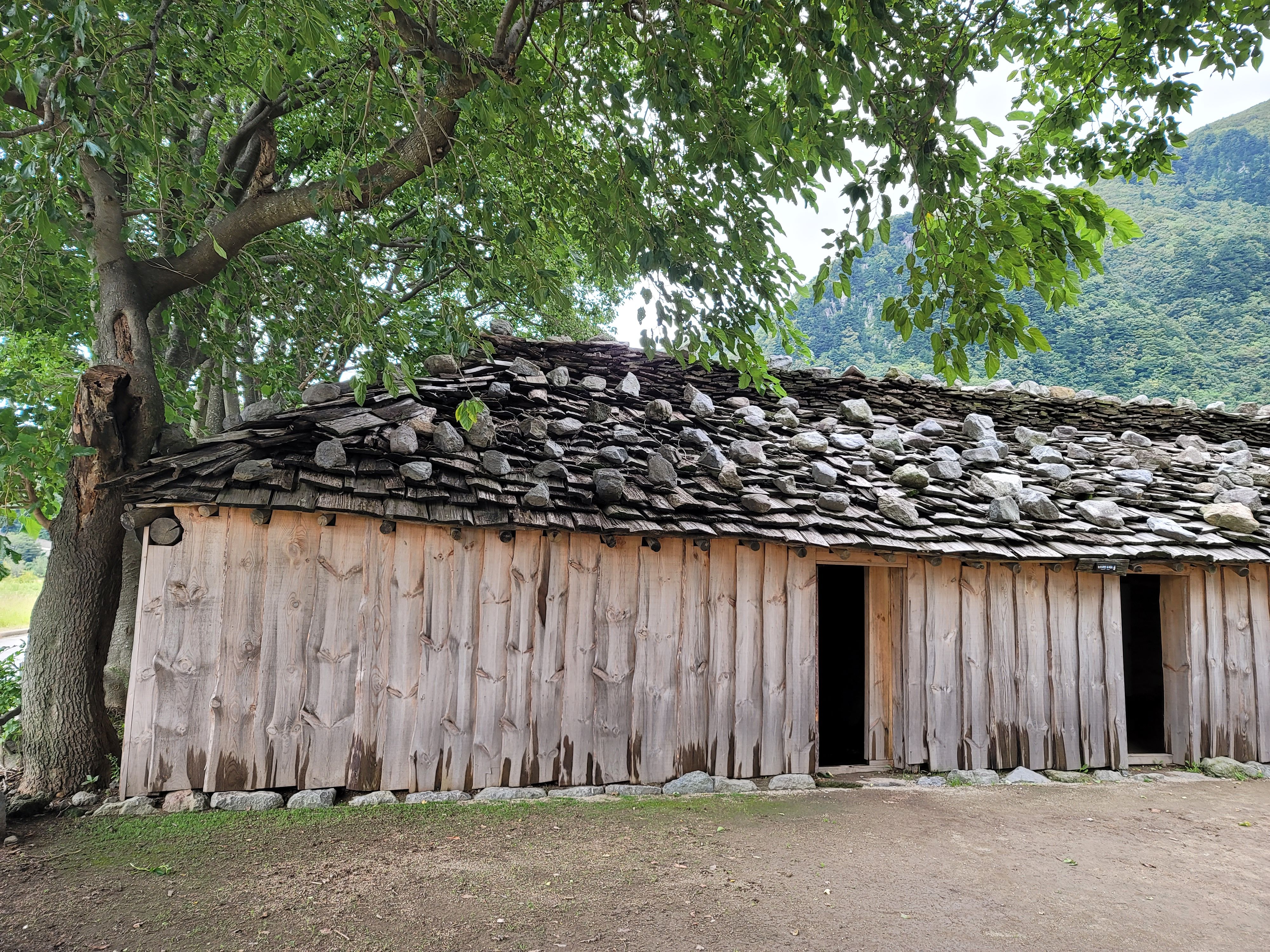 나리분지 맛집 식당&amp;#44; 주차장 숙박 가볼만한곳 총정리