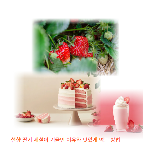 설향 딸기 제철이 겨울인 이유와 맛있게 먹는 방법