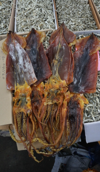 생방송투데이 포항 과메기