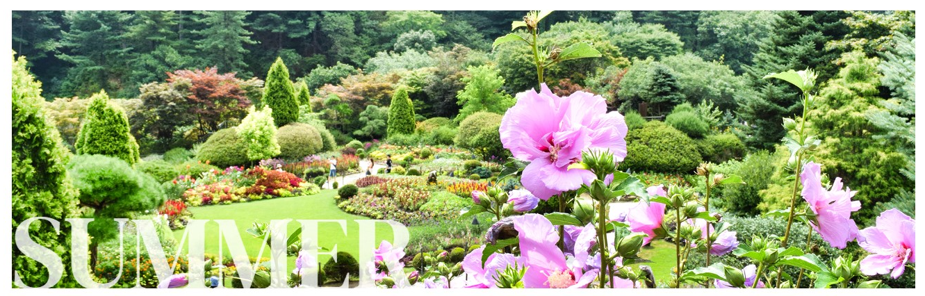 아침고요수목원 여름 알림 사진