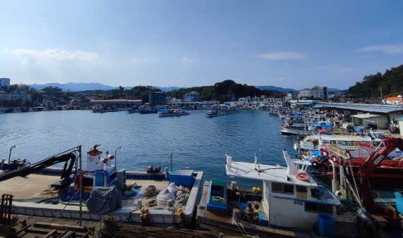 남애항