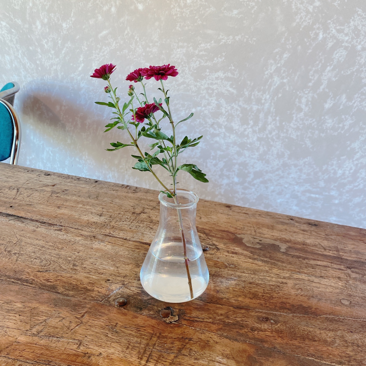 제주 조천 스위스마을 백종원의 3대천왕 당근케이크 구좌상회 카페