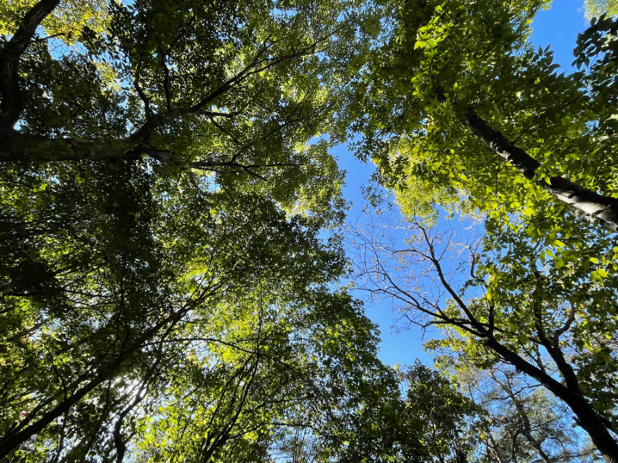파주 감악산 출렁다리