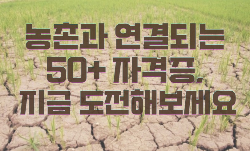 자연재해로 갈라진 논_손해평가사 자격증 관련 문구