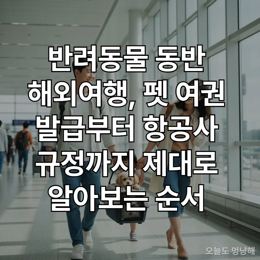 반려동물과 함께 공항을 걷는 한국인 가족의 행복한 모습